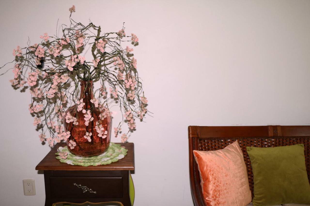 Exclusiva Villa En La Zona Hotelera De Ixtapa_Zihuatanejo Ixtapa  Zewnętrze zdjęcie